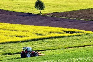 На Черкащині орендарі земель розраховуватися не поспішають